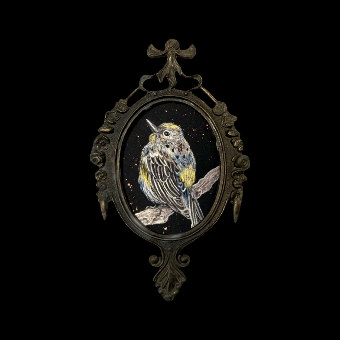 Yellow rumped warbler pearlescent watercolor miniature 3x4