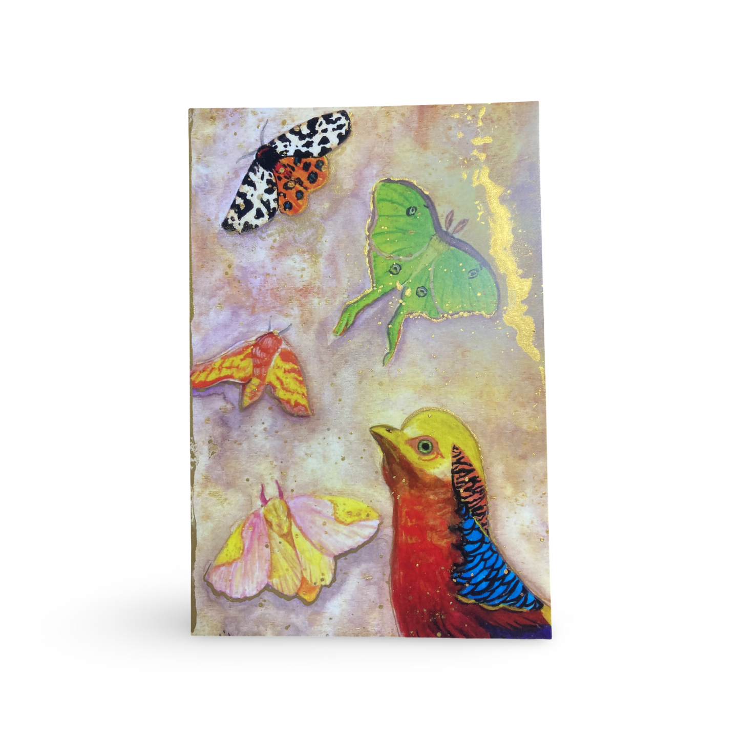 Golden pheasant and insects 4x6 hand embellished mini print