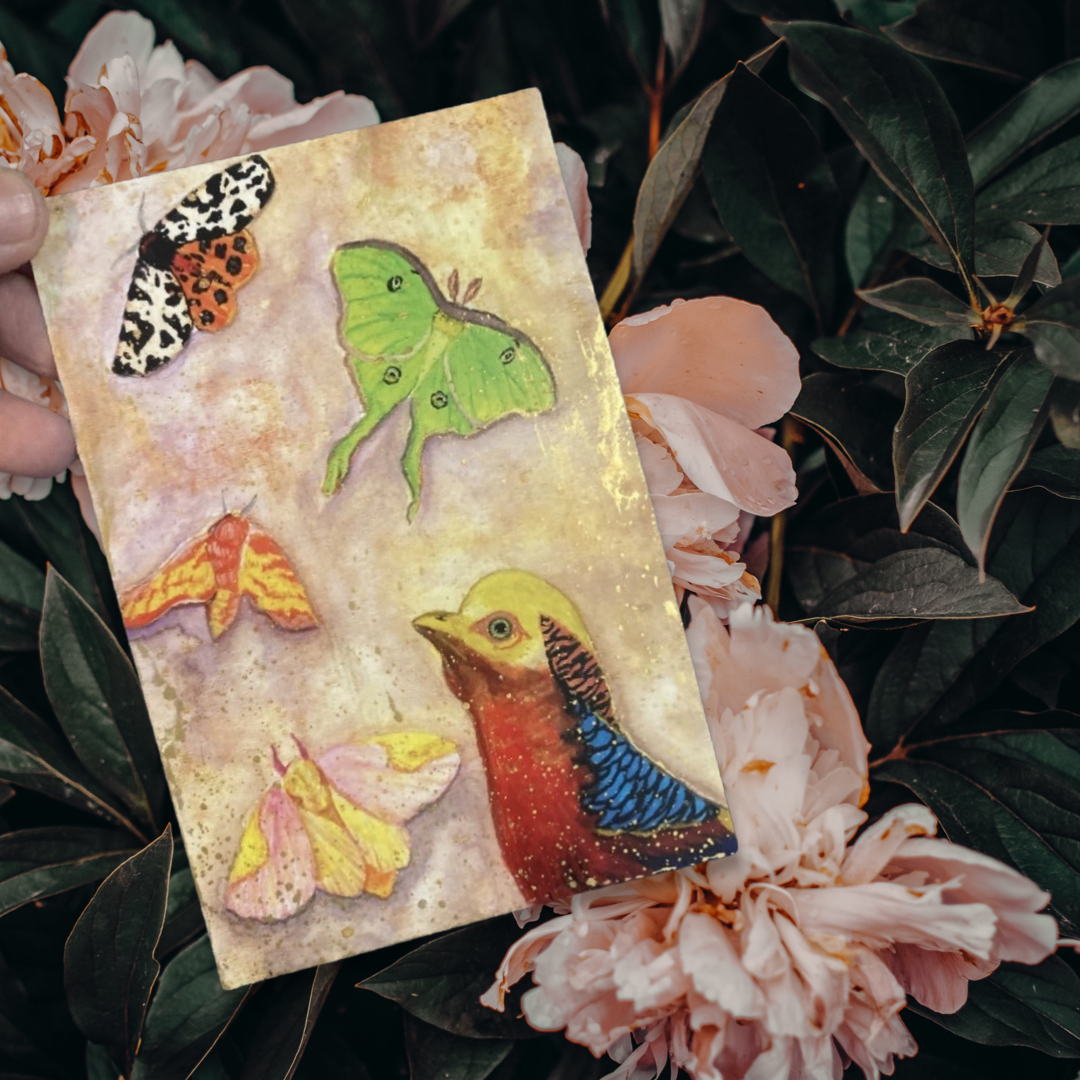 Golden pheasant and insects 4x6 hand embellished mini print