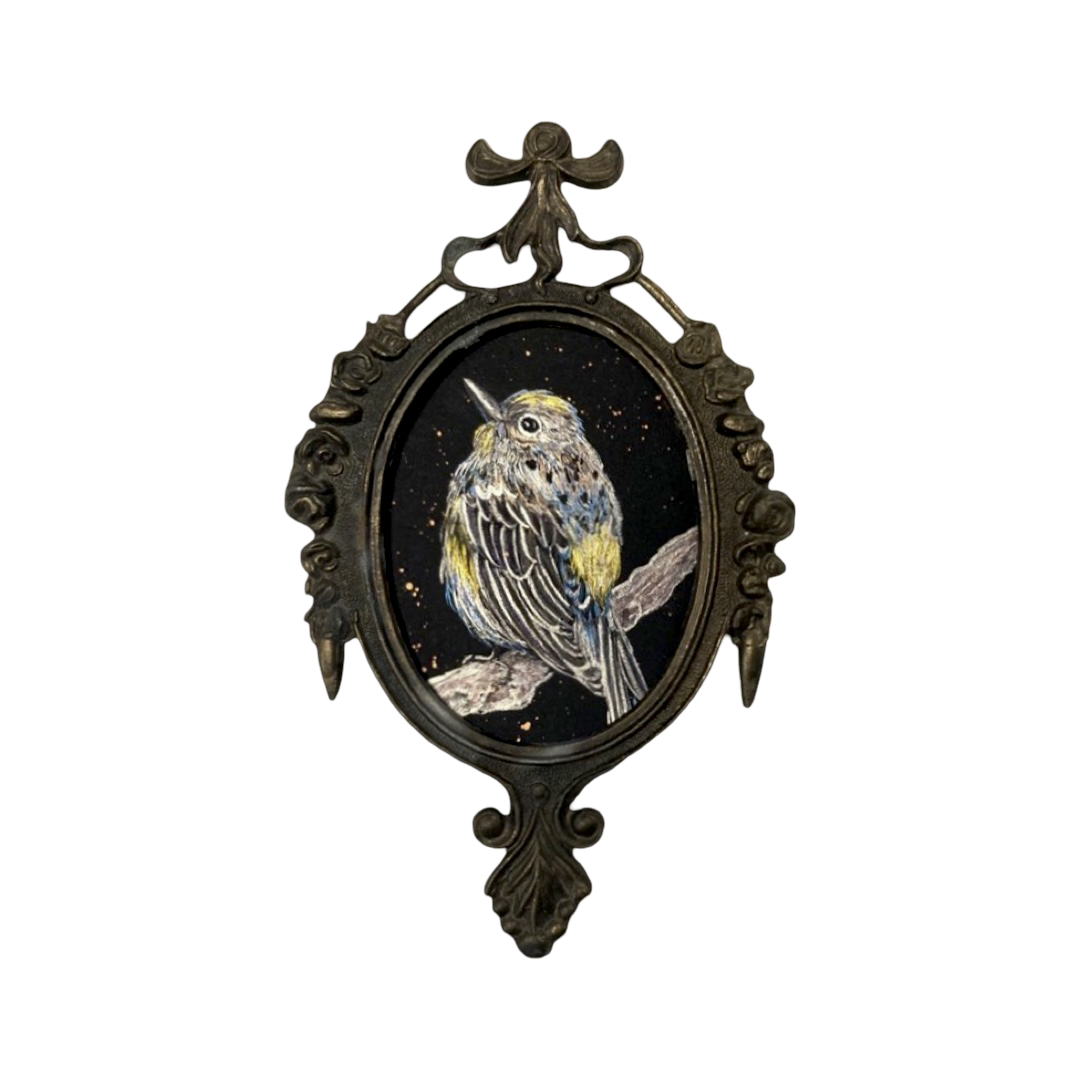 Yellow rumped warbler pearlescent watercolor miniature 3x4