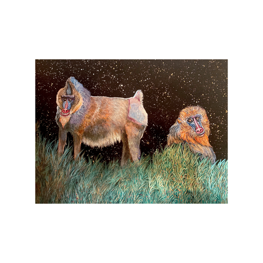 Mandrills and Stars Pearlescent Watercolor Painting 9x12