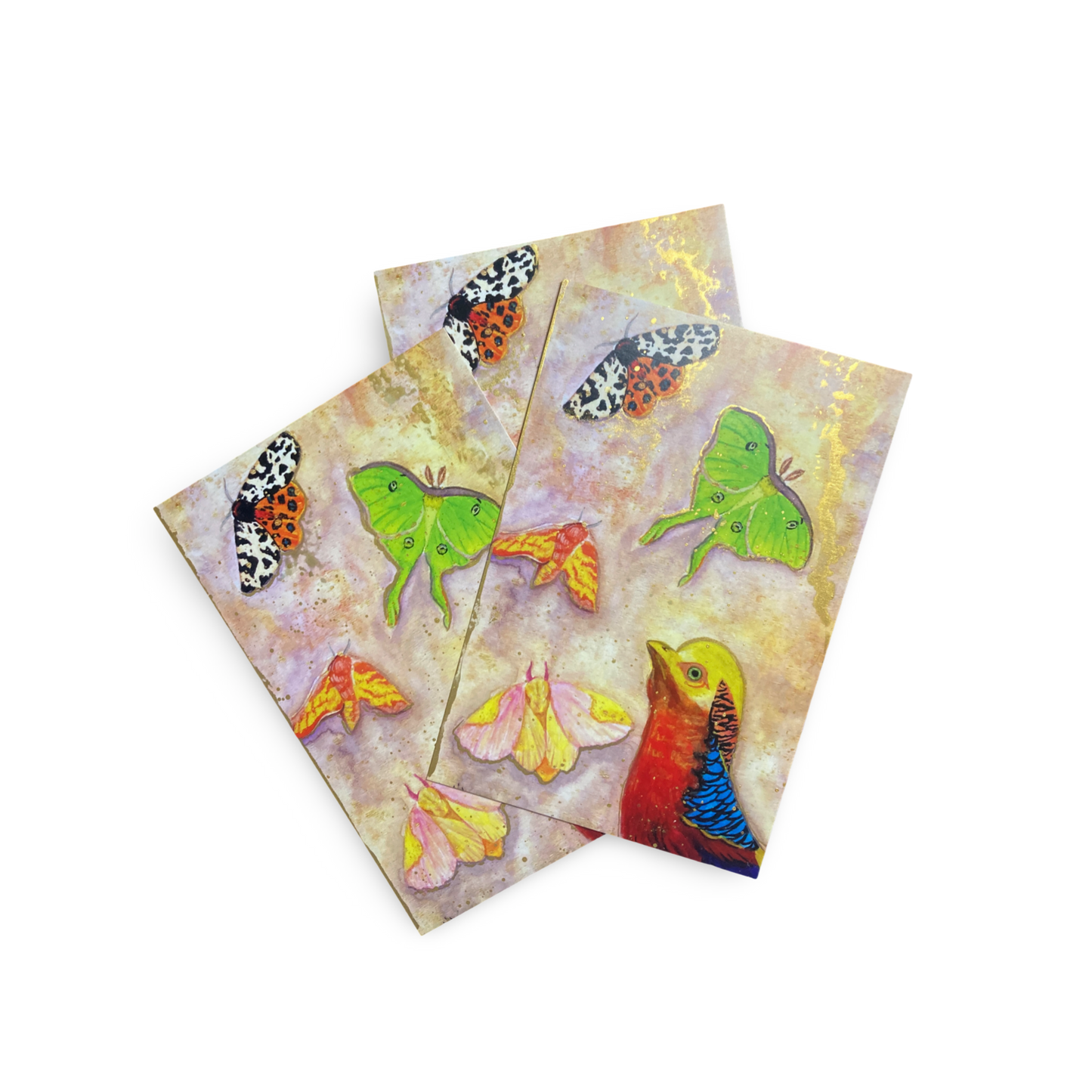 Golden pheasant and insects 4x6 hand embellished mini print